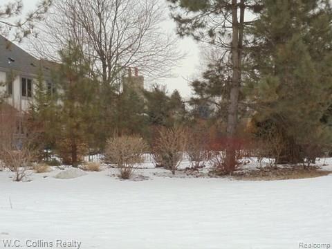 16128 Millar Road Clinton Township, MI 48036 - Photo 36 of 37 DSC03641.jpg