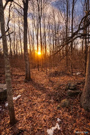a view of covered with green space