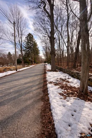a view of a yard with trees