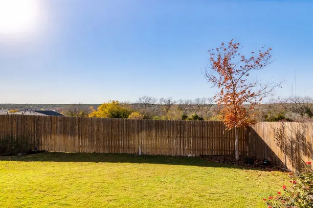 a view of backyard and tree