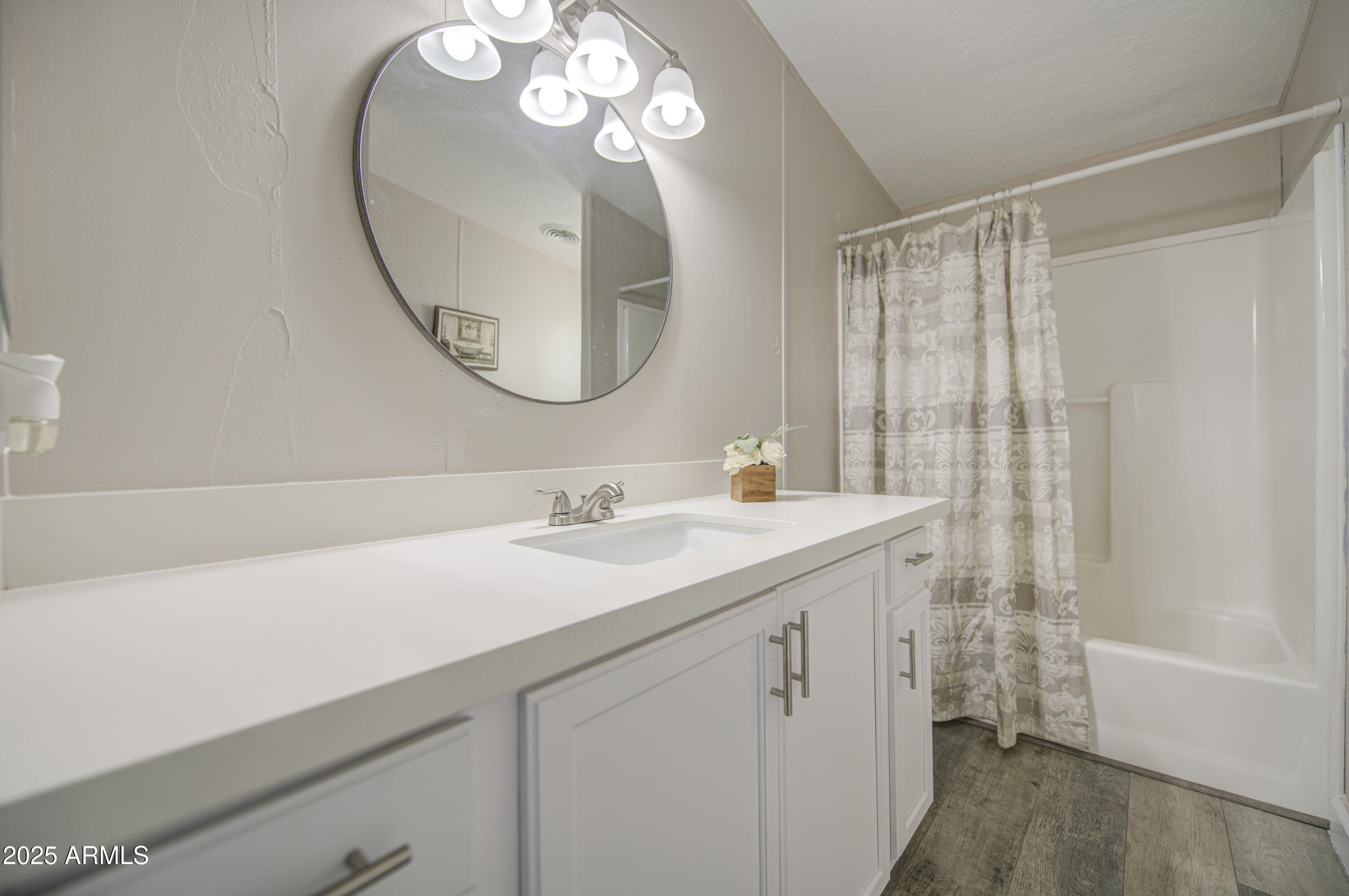 19954 West Teepee Road Buckeye, AZ 85326 - Photo 40 of 46 a bathroom with a sink a mirror a vanity and a shower
