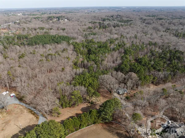 an aerial view of mountain with trees