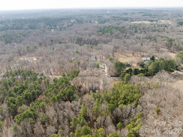 an aerial view of forest