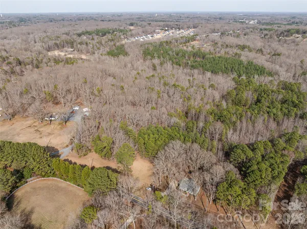 an aerial view of forest