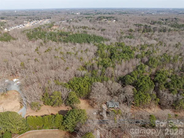 an aerial view of forest