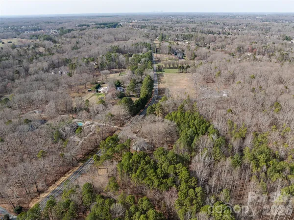 an aerial view of forest