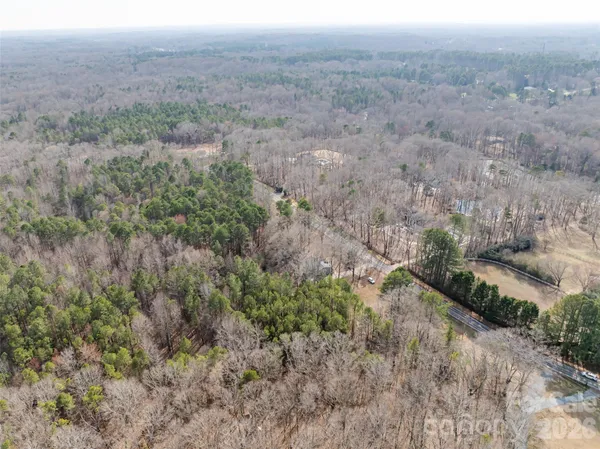 an aerial view of forest