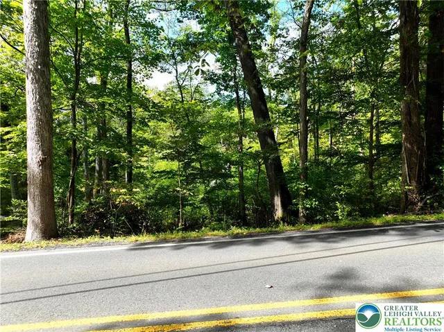 a view of a yard from a window