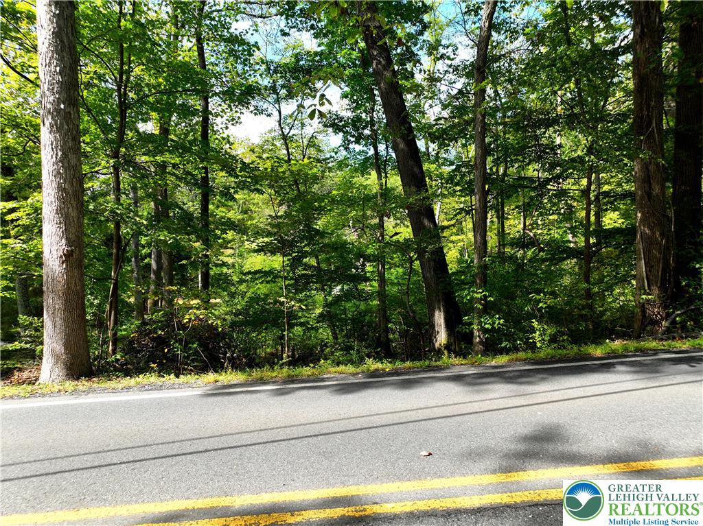 a view of a yard from a window