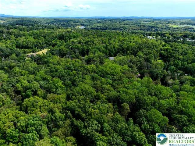 a view of a city with lush green forest