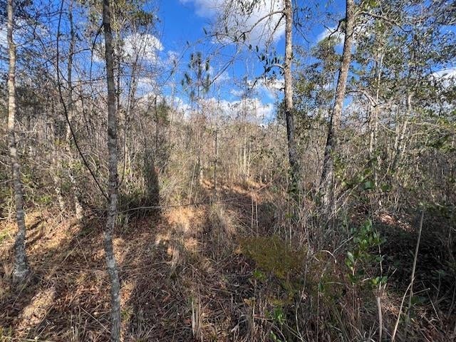 25-ac Smyrna Road Florala, AL 36442 - Photo 18 of 36 Gallery Image 18