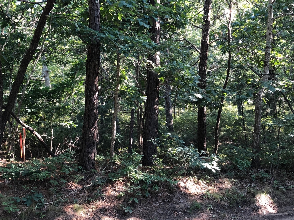 200 Golf Club Road Vineyard Haven, MA 02568 - Photo 8 of 15 Eastern Stake