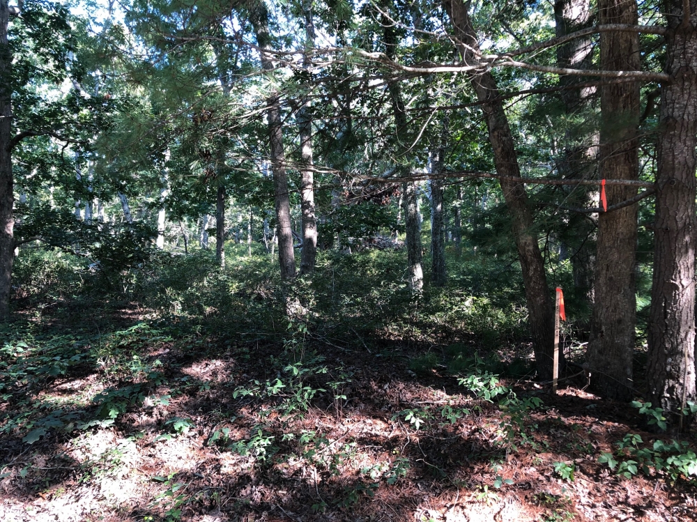 200 Golf Club Road Vineyard Haven, MA 02568 - Photo 10 of 15 Western Stake