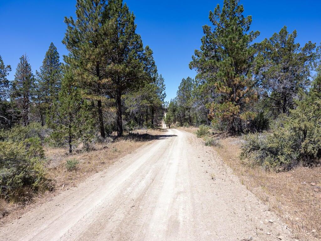 Panther Lane Bonanza, OR 97623 - Photo 7 of 10 a view of road with trees