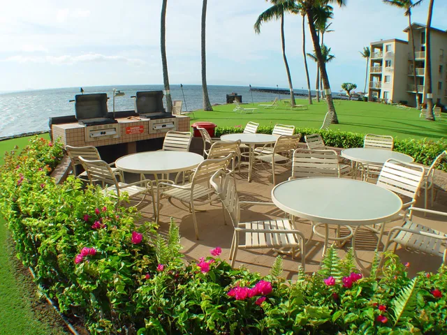a view of a backyard with plants and patio