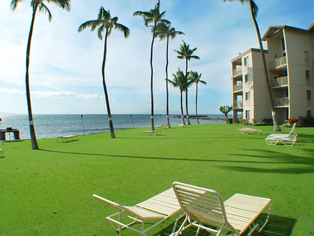 a view of a chair and table in the garden