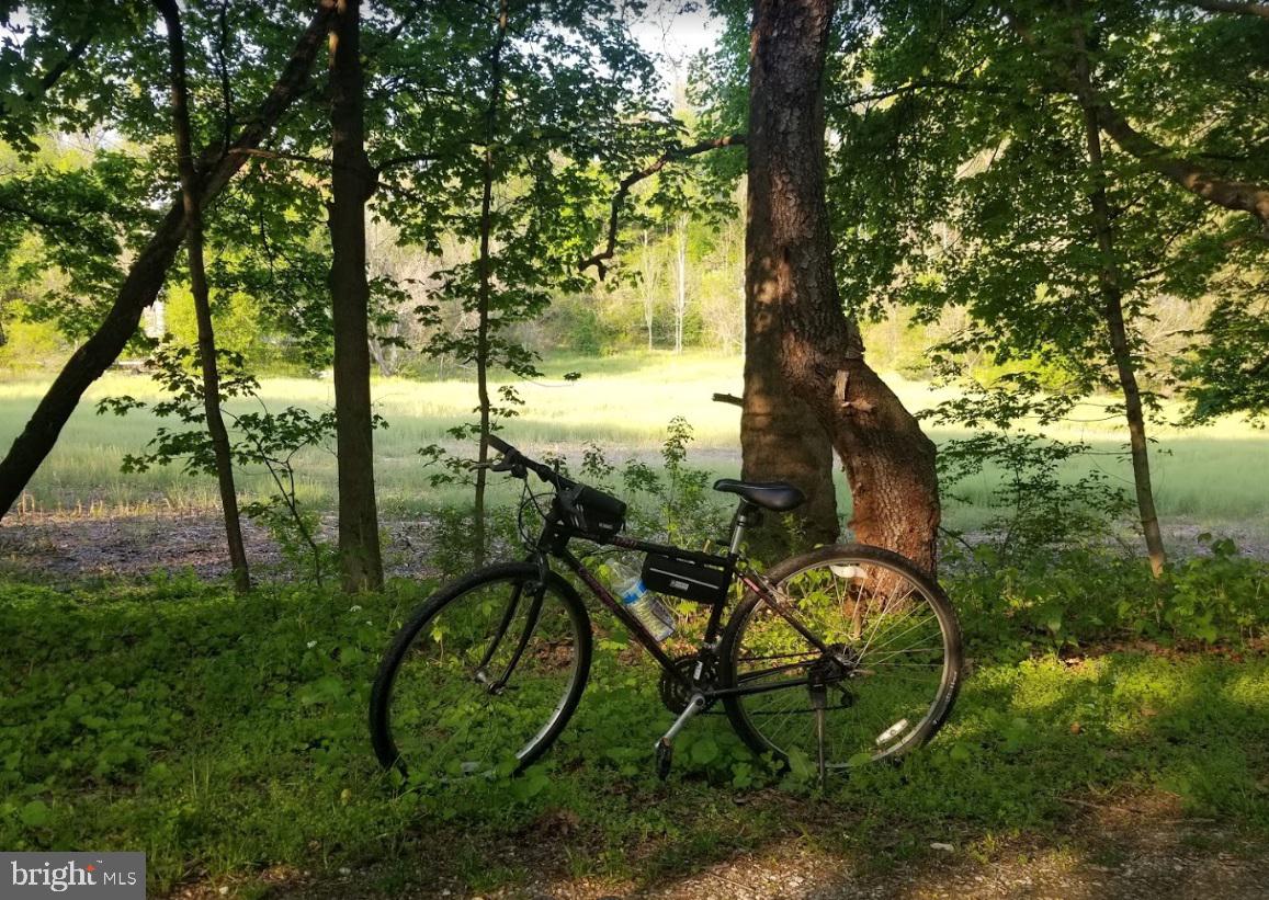 13815 Cripplegate Road Phoenix, MD 21131 - Photo 18 of 24 Hiking and Biking Trails Minutes Away!