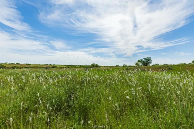 a view of a lush green forest