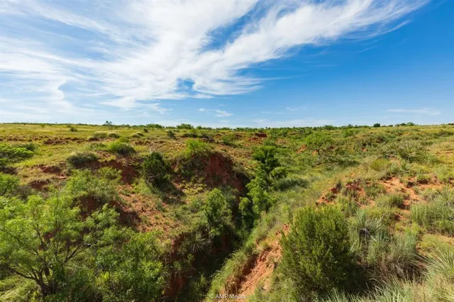 a view of yard with ocean view