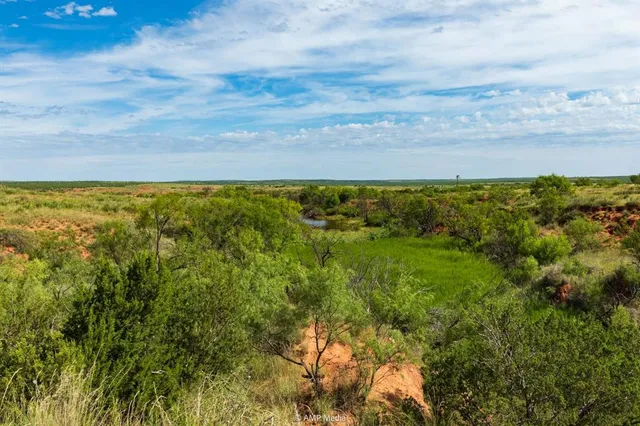 a view of an ocean from a yard
