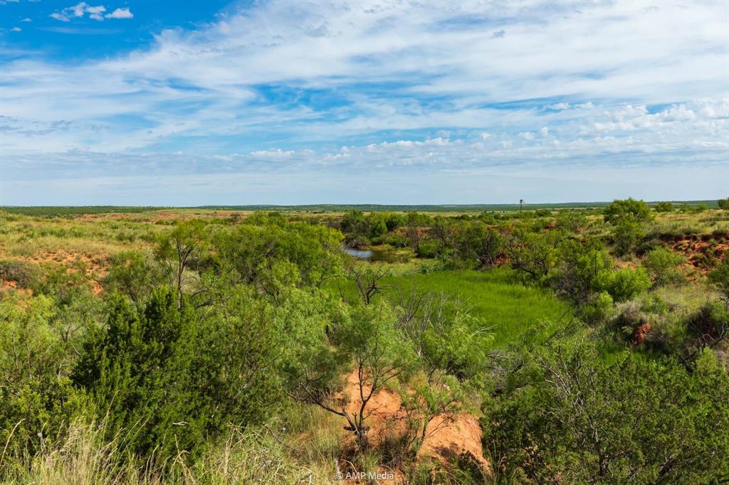 440 C R 440 Rotan, TX 79546 - Photo 10 of 33 a view of yard with ocean view