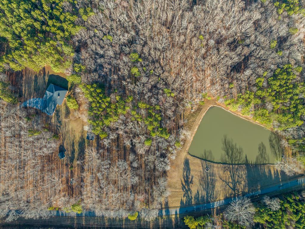 0 Willards Mill Road Nelson, VA 24580 - Photo 40 of 52 Gallery Image 40