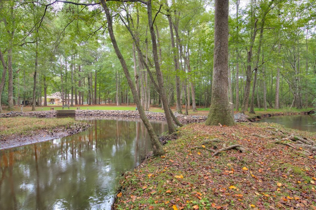 148 Twin Creek Farm Road Aiken, SC 29805 - Photo 48 of 62