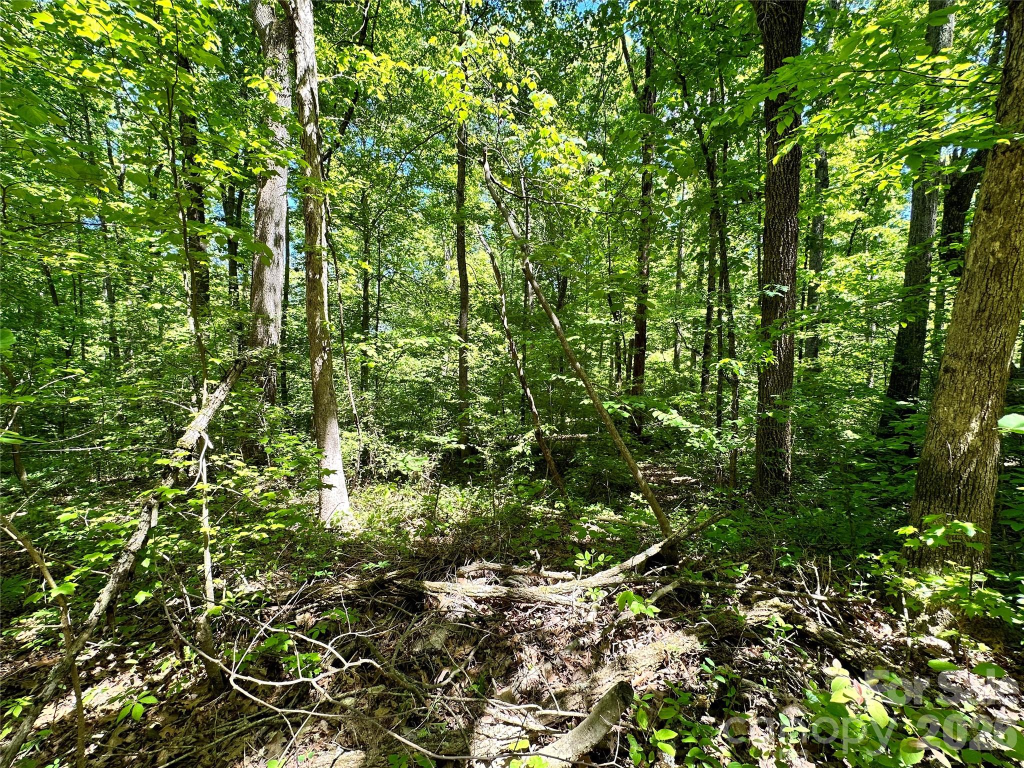 168 Rolling Road Lincolnton, NC 28092 - Photo 11 of 41 Gallery Image 11