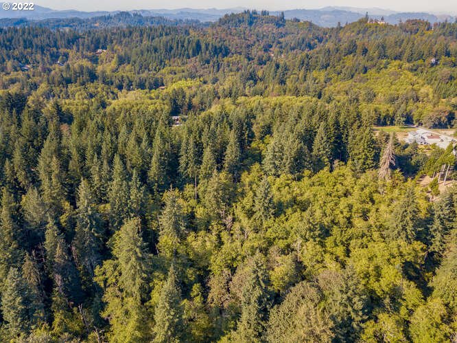 0 Northeast Gabriel Road Yacolt, WA 98675 - Photo 3 of 8 Gallery Image 3