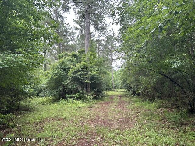301 Freeman Road Southwest Summit, MS 39666 - Photo 31 of 43 IMG_4617