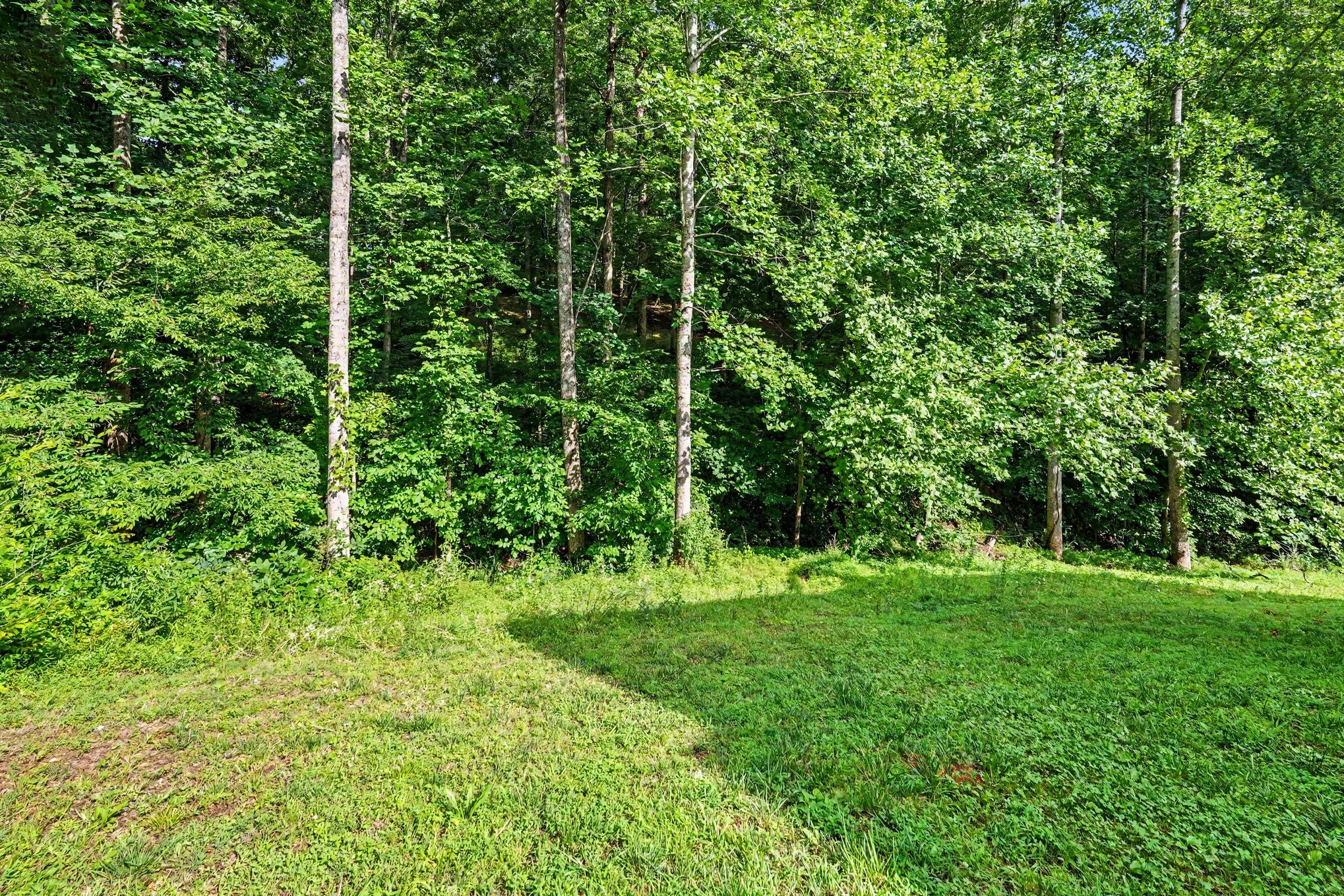 809 Ruby Way White Bluff, TN 37187 - Photo 22 of 22