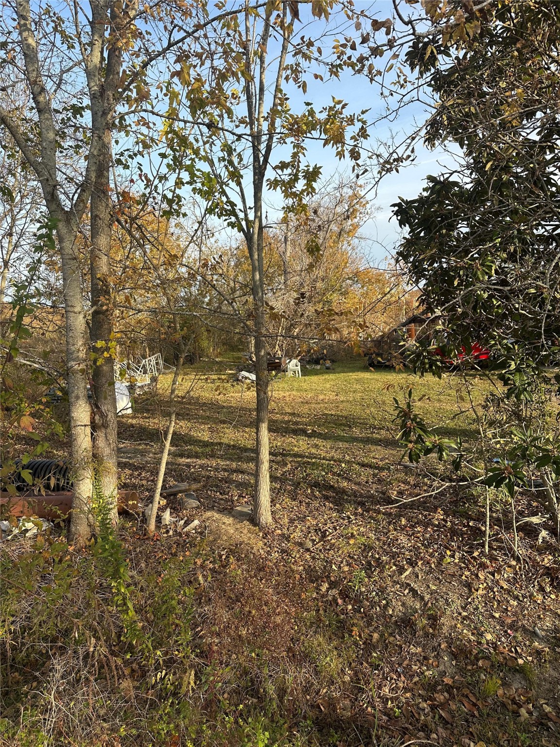a view of a field with an trees