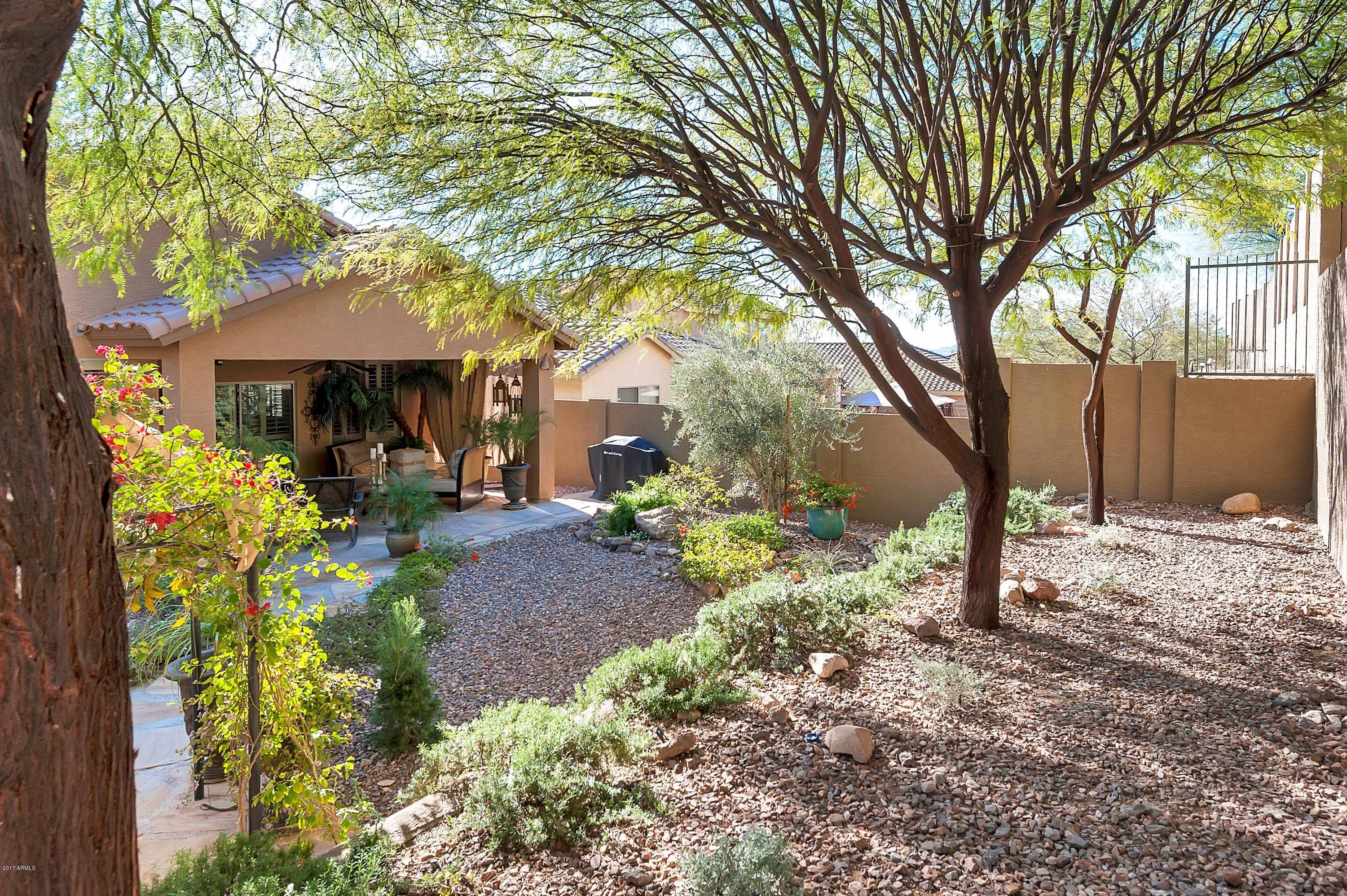 3824 Rising Sun Road Anthem, AZ 85086 - Photo 31 of 31 _DSC0408