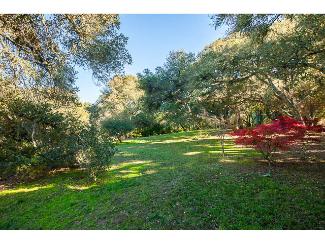 5070 Alpine Road Portola Valley, CA 94028 - Photo 11 of 15 a view of a park