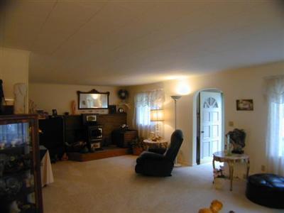 5442 Orleans Road Orleans, MI 48865 - Photo 4 of 7 Additional Photo