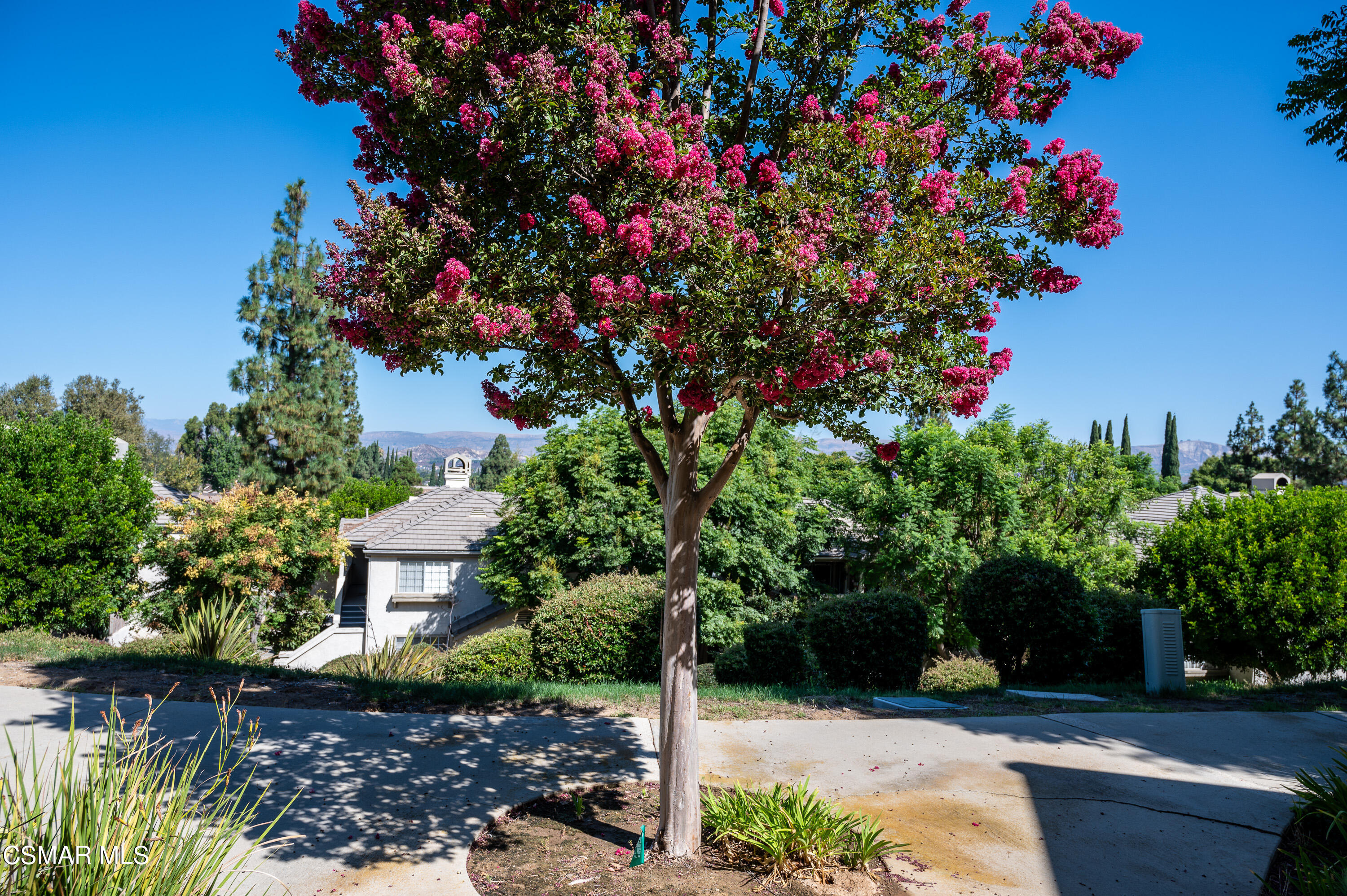1225 Fitzgerald Road, Unit A Simi Valley, CA 93065 - Photo 15 of 38 Brandon and Sarah - Condo - 9-1-2024_4