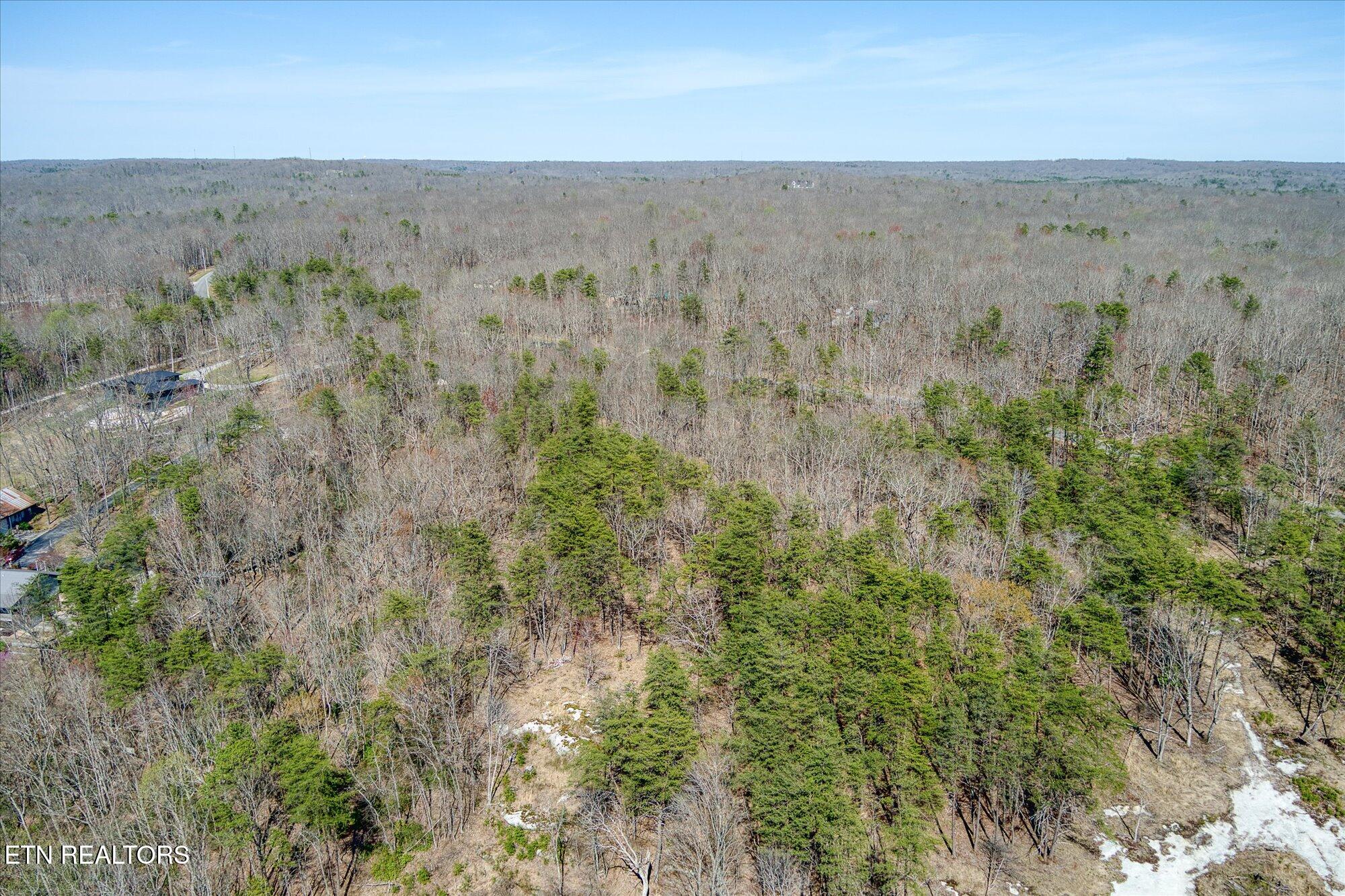 East Overlook Road Monterey, TN 38574 - Photo 3 of 9 7-1560 E Overlook Rd_TNPC_033