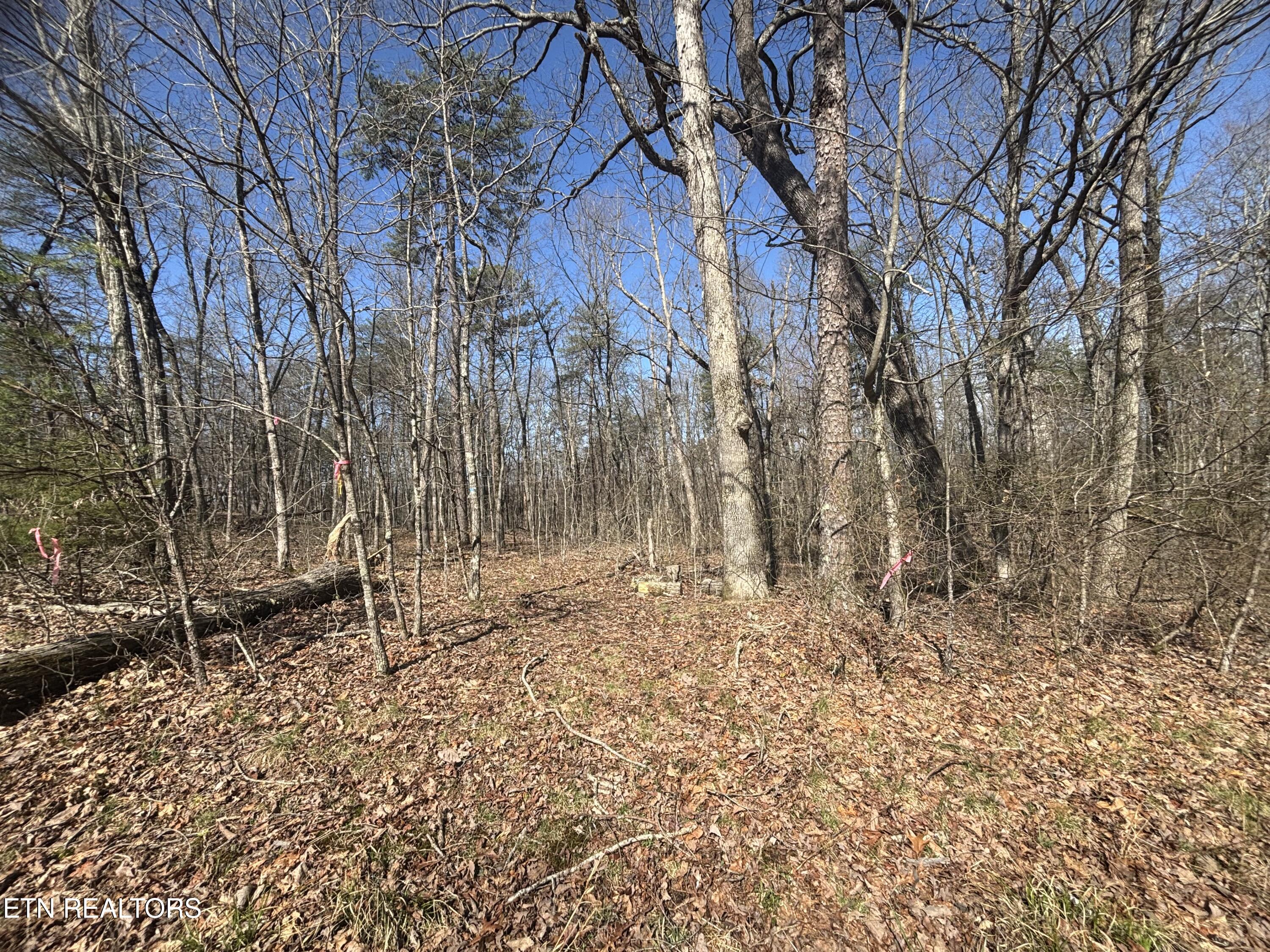 East Overlook Road Monterey, TN 38574 - Photo 4 of 9 IMG_2326