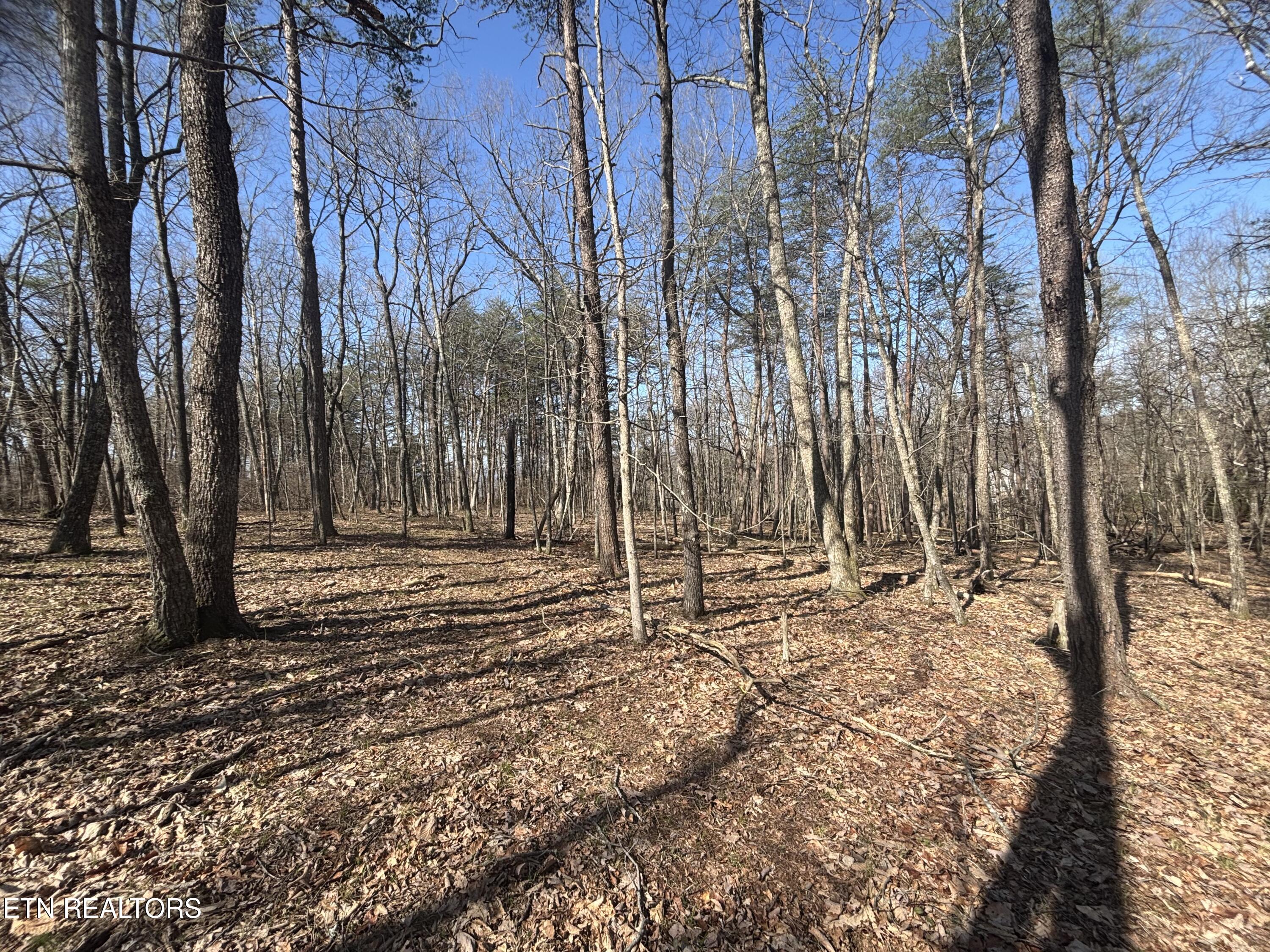 East Overlook Road Monterey, TN 38574 - Photo 5 of 9 IMG_2327