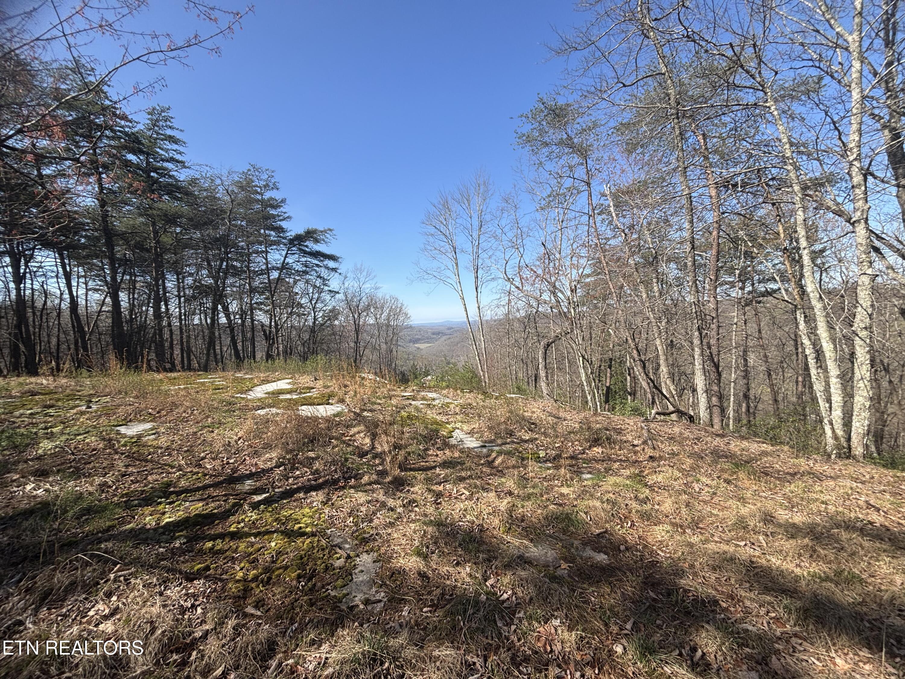 East Overlook Road Monterey, TN 38574 - Photo 6 of 9 IMG_2328