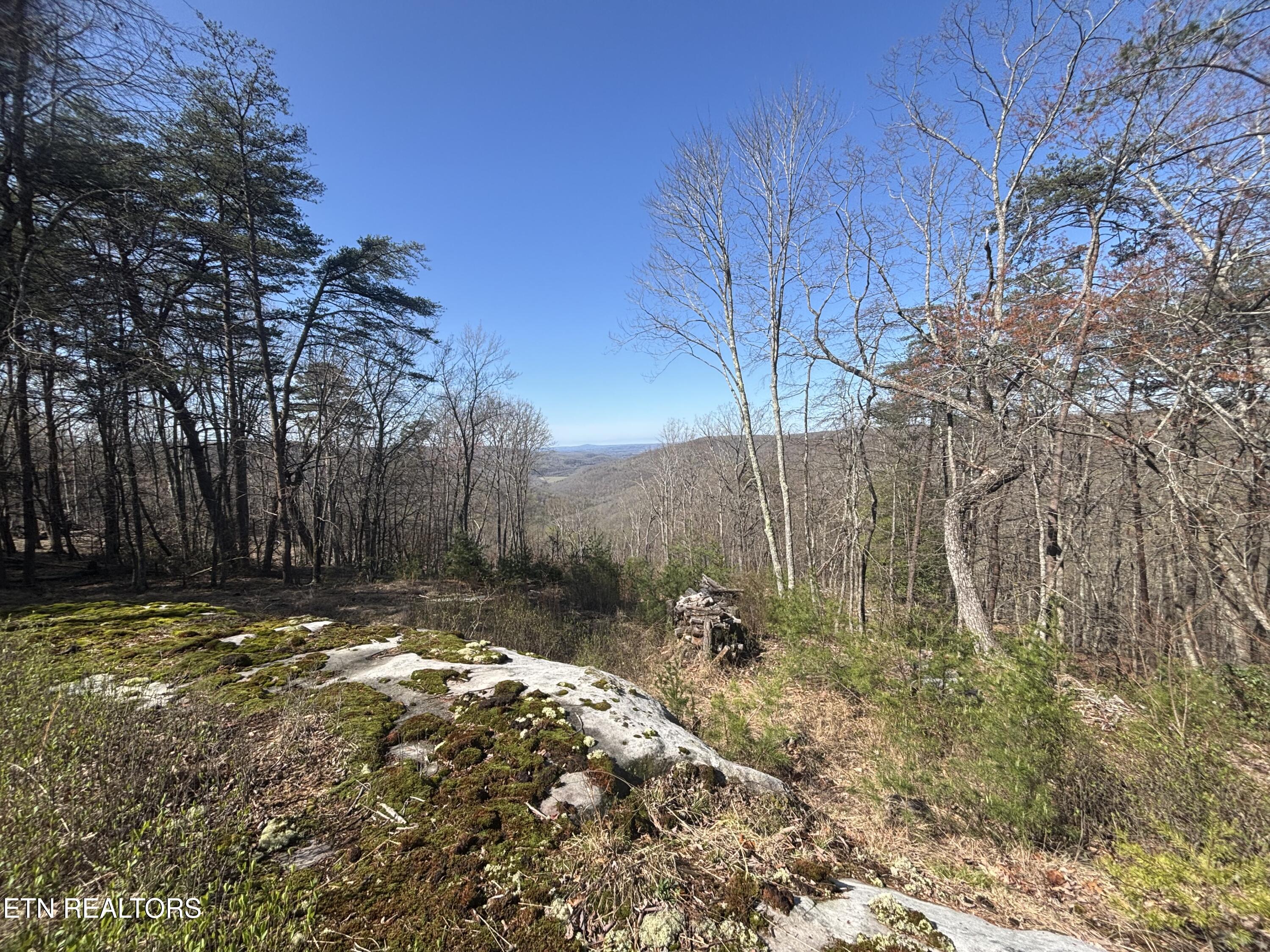 East Overlook Road Monterey, TN 38574 - Photo 8 of 9 IMG_2331