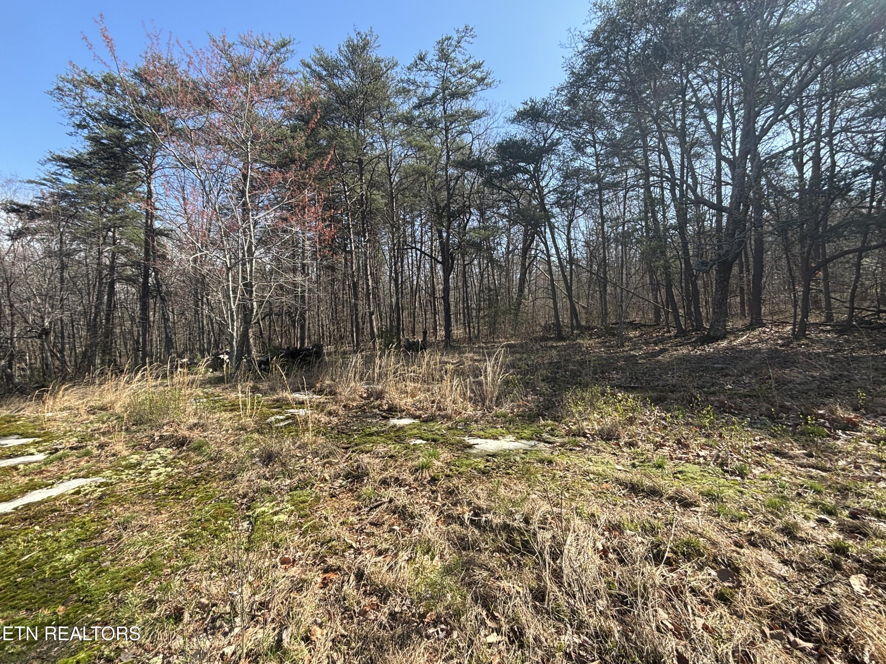 East Overlook Road Monterey, TN 38574 - Photo 9 of 9 IMG_2332