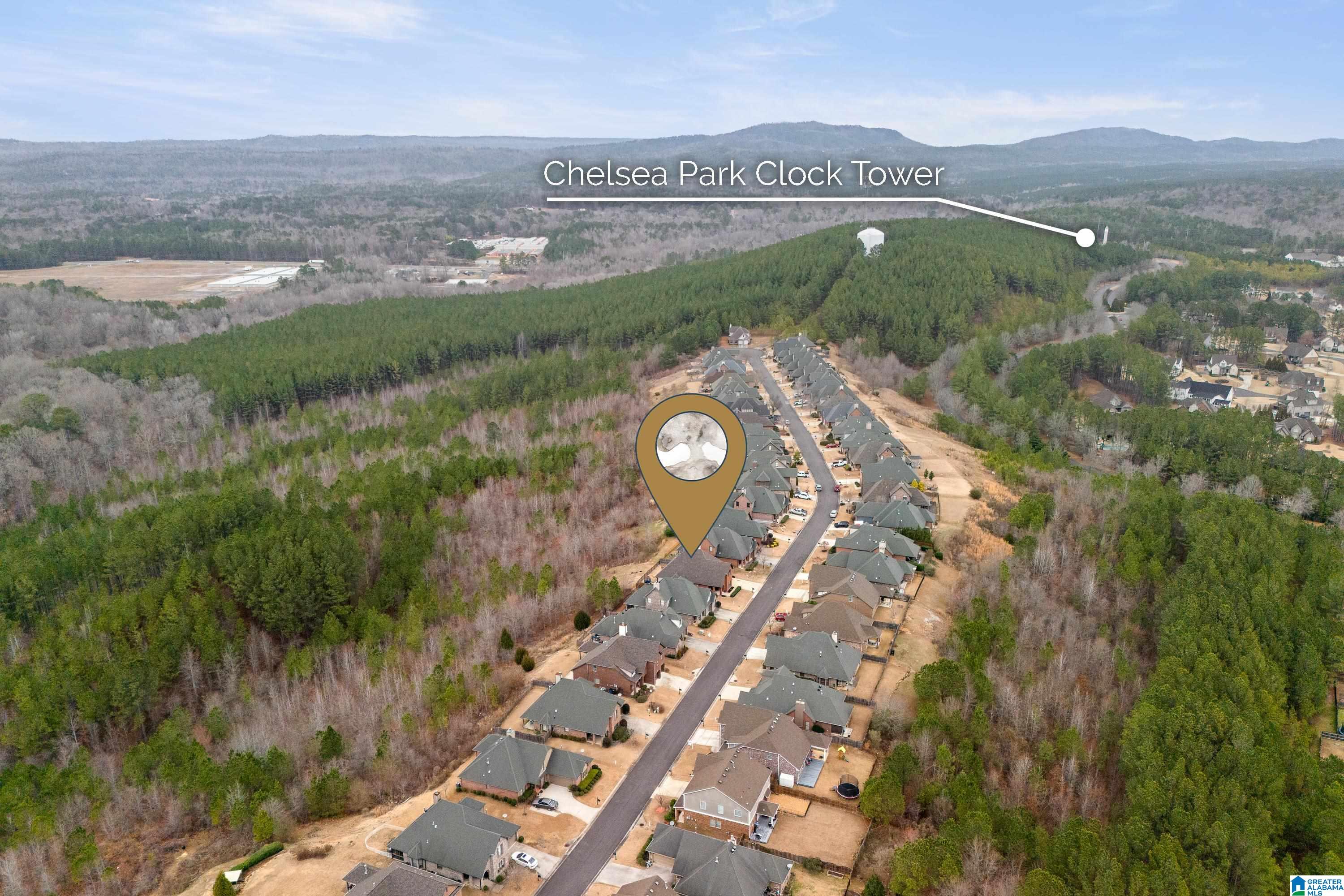 3087 Chelsea Park Ridge Chelsea, AL 35043 - Photo 51 of 64