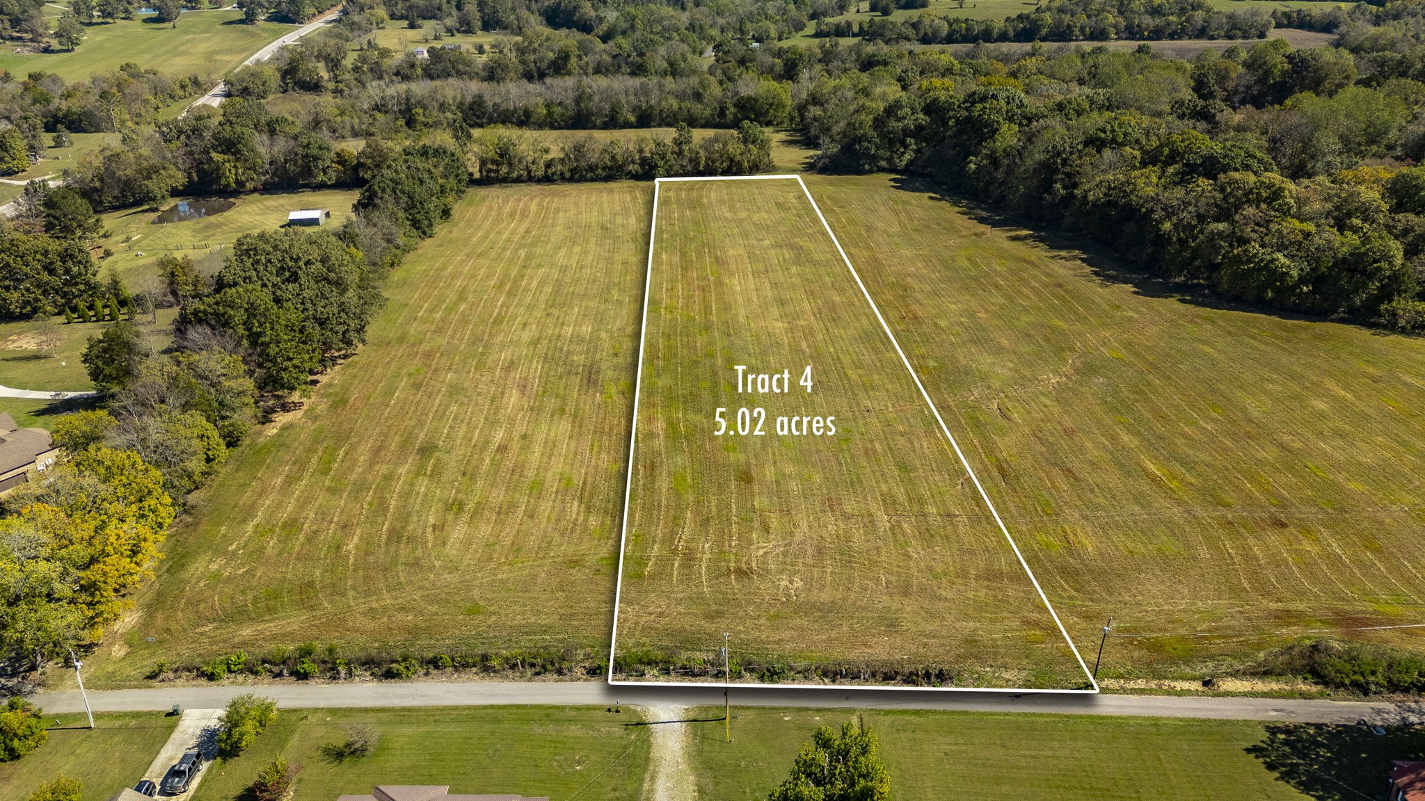a view of swimming pool with large trees