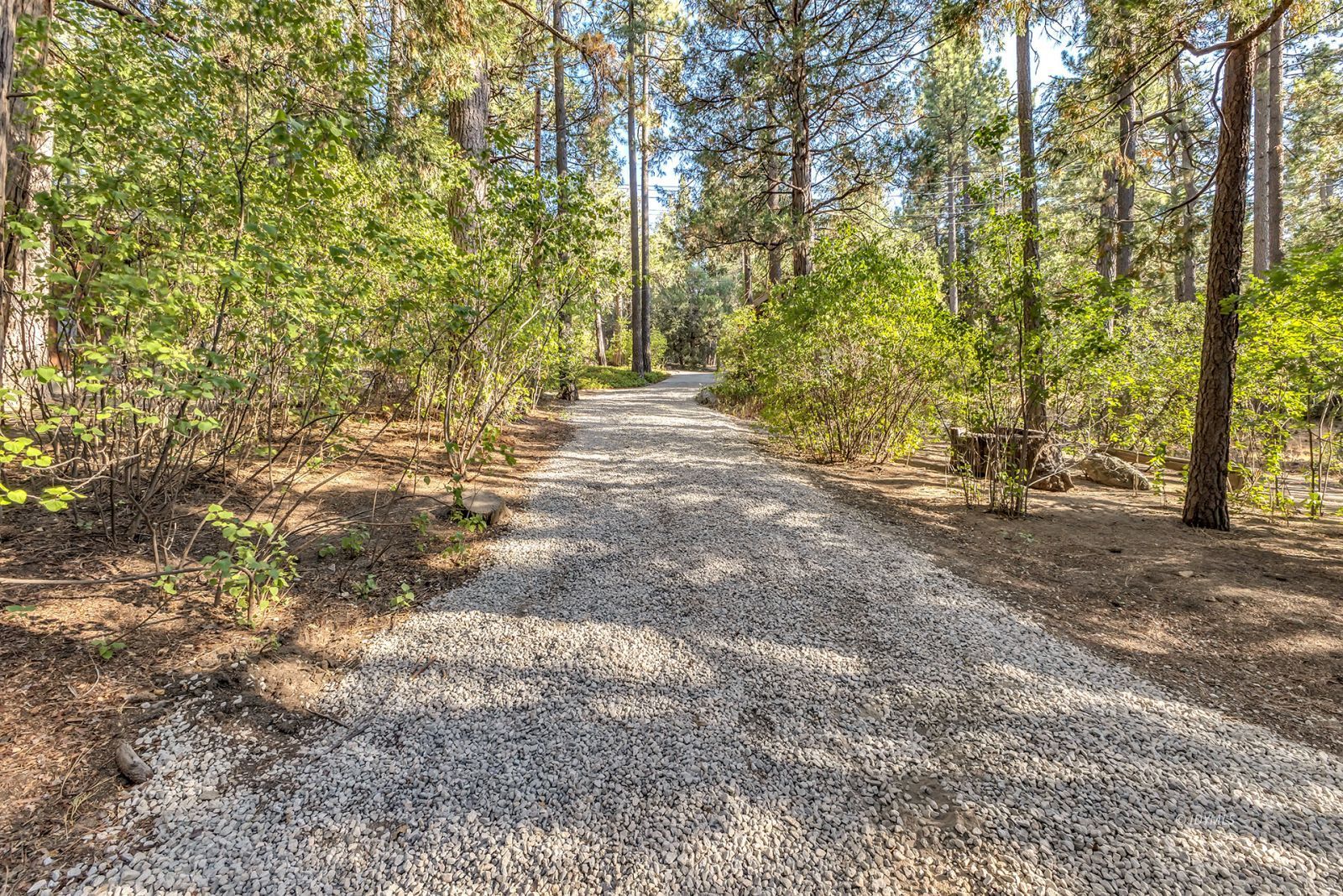 52600 Idyllmont Road Idyllwild, CA 92549 - Photo 53 of 58 Long gravel driveway leads to property
