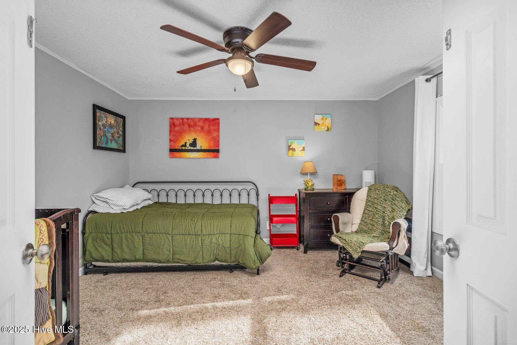3824 Harrison Road Castalia, NC 27816 - Photo 15 of 47 Flex Room