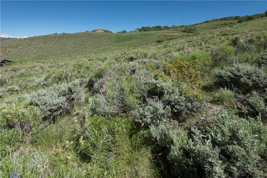 363 Angler Mountain Ranch Road North Silverthorne, CO 80498 - Photo 12 of 21 Gallery Image 12