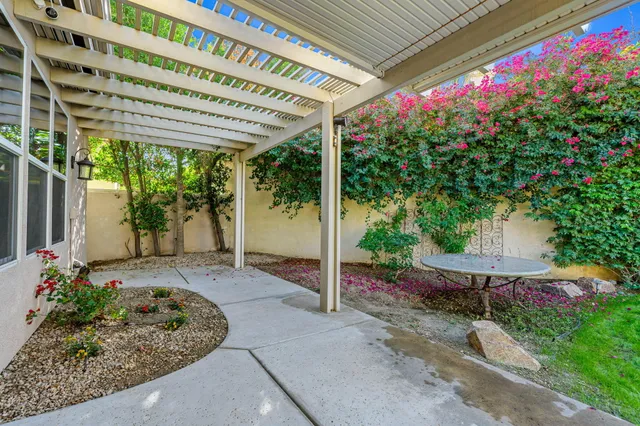 a view of a backyard with plants
