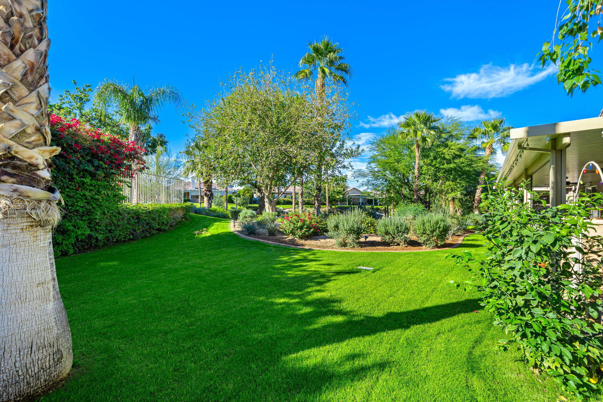 49647 Lewis Road Indio, CA 92201 - Photo 6 of 42 a view of a garden with a building in the background