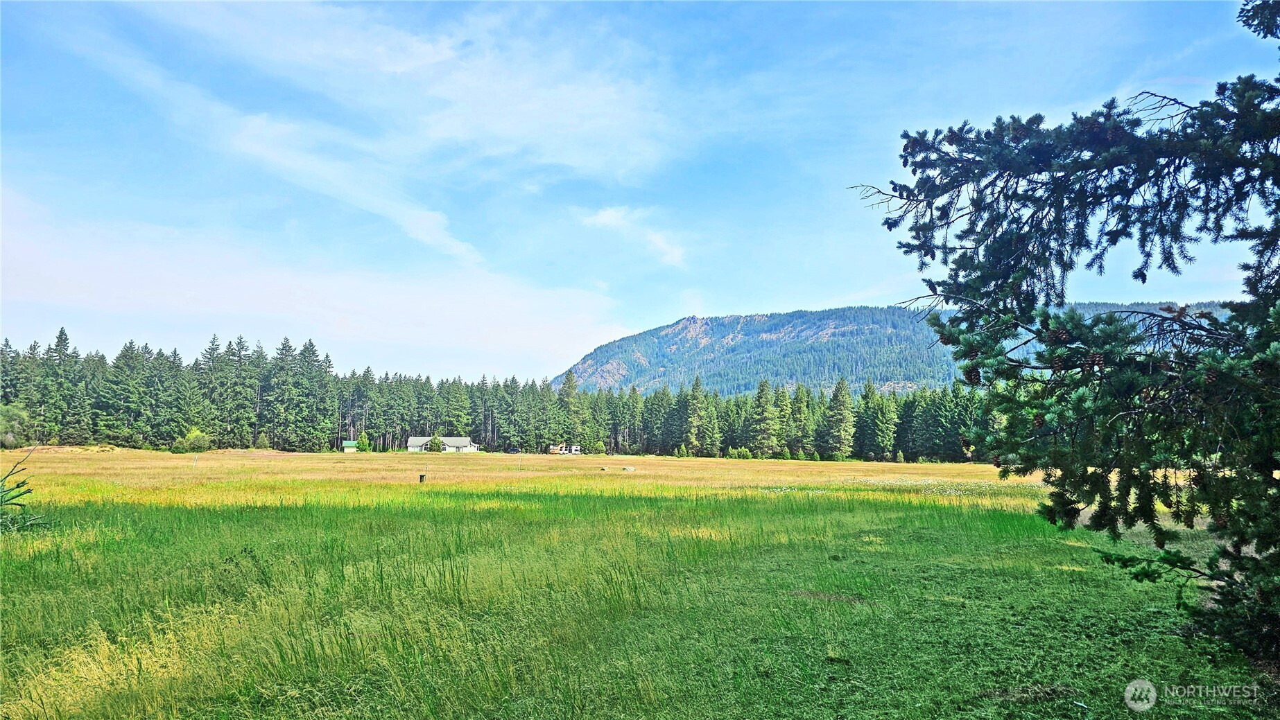 4 Darling Way Cle Elum, WA 98922 - Photo 13 of 31 a view of green field with trees in the background